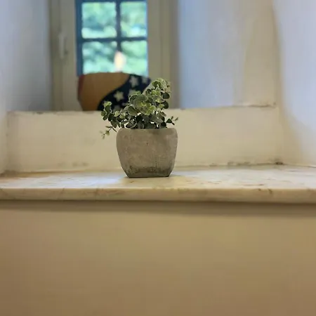 Casa de hóspedes La Sosta